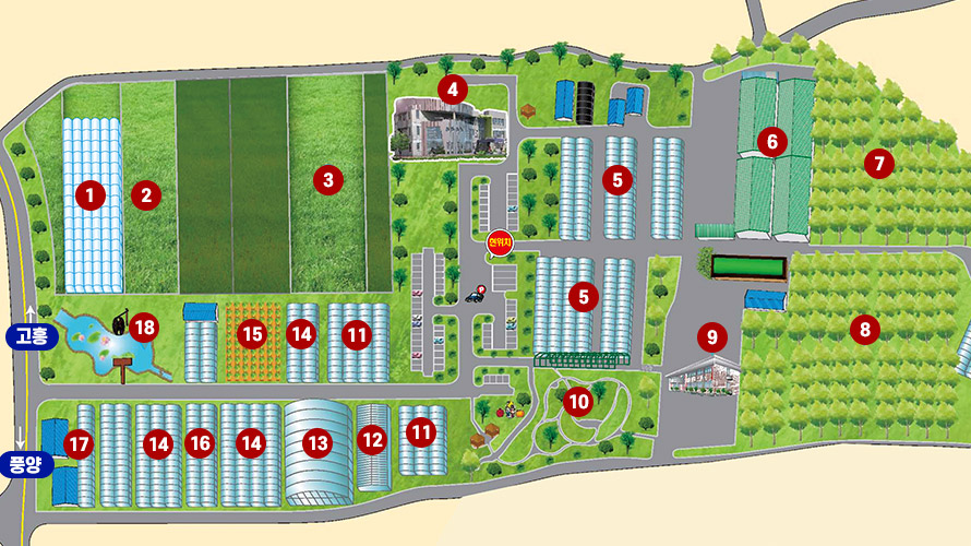 ※ 본 배치도는 상단을 북쪽으로 가정하여 설명합니다. 서쪽에는 출입구가 있습니다. 북서쪽에는 경영실습 임대농장(1)이 위치하고, 그 오른편으로 벼 적응 시험포(2)와 벼 품종 비교전시 및 예찰포(3)가 나란히 배치되어 있습니다. 가장 북쪽 중앙에는 본관 건물(4)이 있으며, 본관 남쪽으로는 특화작목연구단지(아열대과수 실증 시험포)(5)들이 조성되어 있습니다. 동북쪽에는 농업기계 임대사업소(6)와 특화작목 연구단지(유자 실증 재배 포장)(7)이 조성되어 있습니다. 남서쪽에서도 상단에는 원예 치유공원(18)과 특화작목연구단지(노지채소 실증 시험포)(15), 특화작목 연구단지(난지과수 실증 시험포)(14), 씨감자 증식 포장(11)이 조성되어있고, 남서쪽에서도 하단에는 유용미생물 배양실(17), 특화작목 연구단지(난지과수 실증 시험포)(14), 스마트팜 테스트베드(16), 아열대농업관(13), 치유농업관(12), 씨감자 증식 포장(11)이 조성되어있습니다. 남쪽에는 힐링체험장(10), 남동쪽에는 농산물 가공 연구관(9), 특화작목 연구단지(틈새과수 실증 시험포)(8)가 조성되어 있습니다. 전체적으로 시험포, 연구관, 체험공간 등으로 구성된 농업기술센터 배치도입니다.